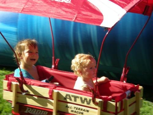 Amazon.co.jp: Radio Flyer Wagon Canopy by Radio Flyer : おもちゃ